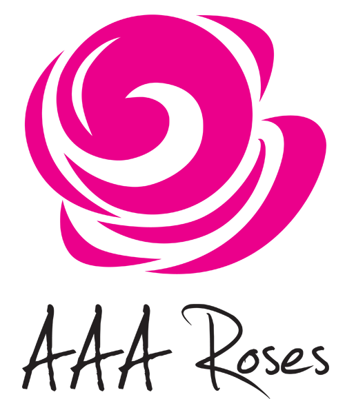 aaa-roses